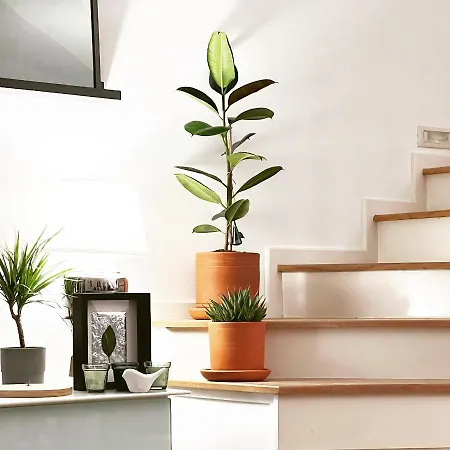 Sea Canal Townhouse * ギョジェク